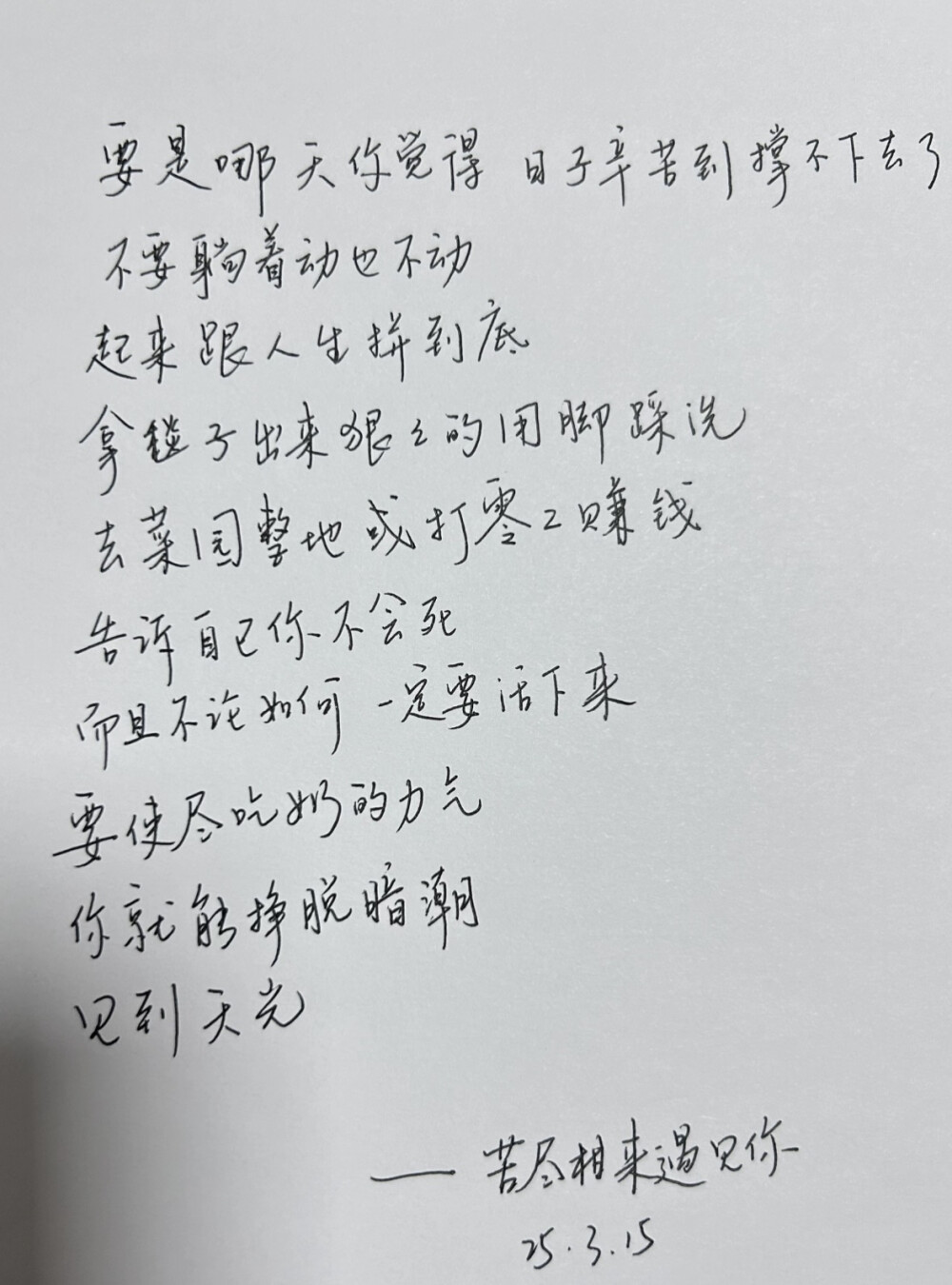 苦尽柑来遇见你