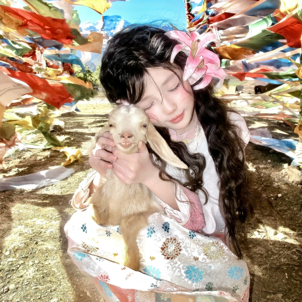 或许我不再渴求那株过季的洋桔梗