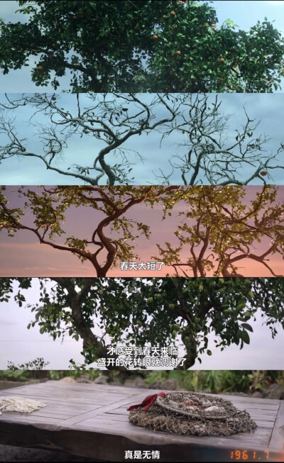 苦尽柑来遇见你