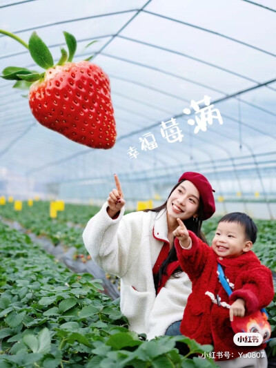 草莓创意照