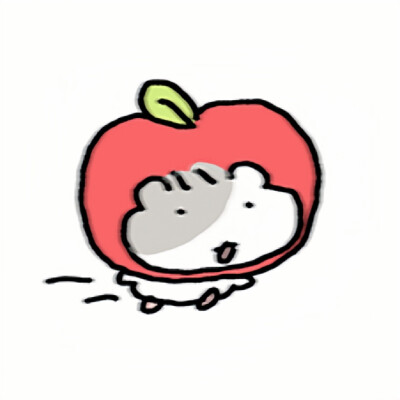 somchi棉球仓鼠