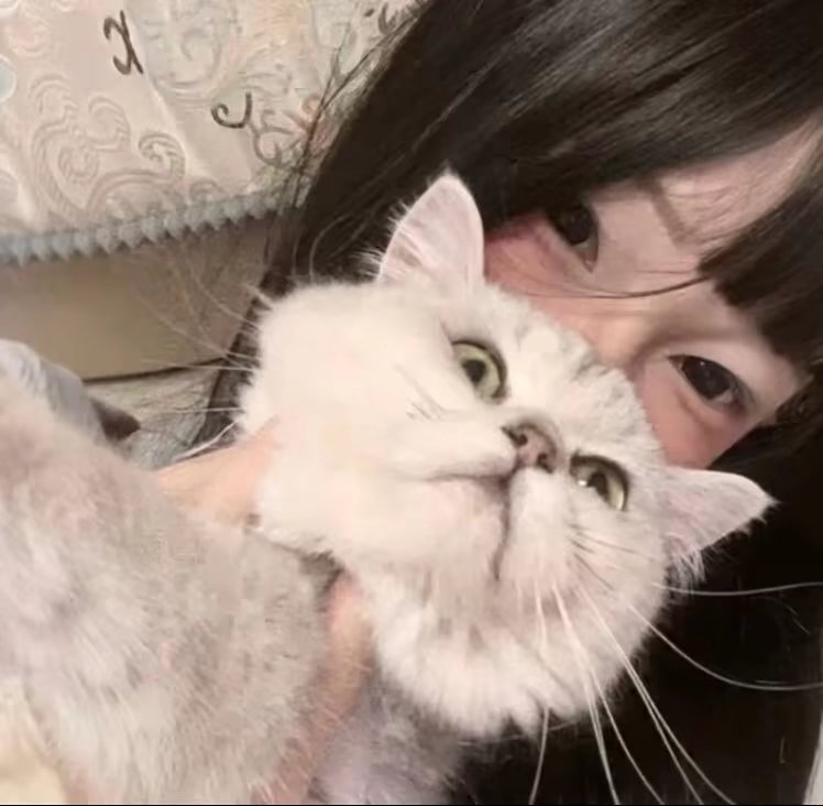 真人头像女