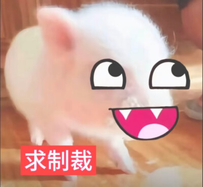 哼