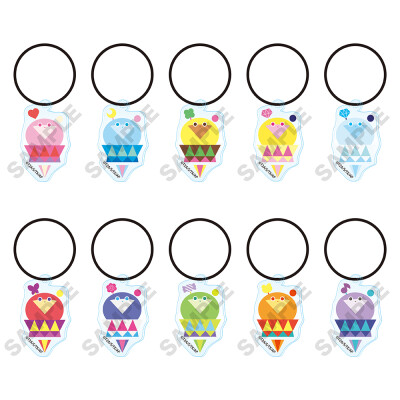 秘密的偶像公主