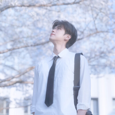 樱花树下