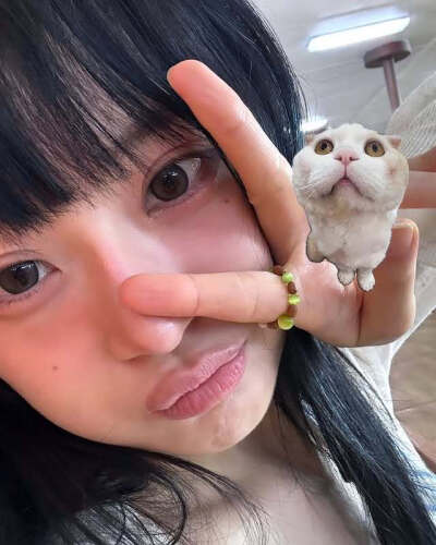 柳多恋