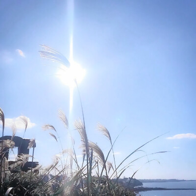 本来讨厌下雨的天空 