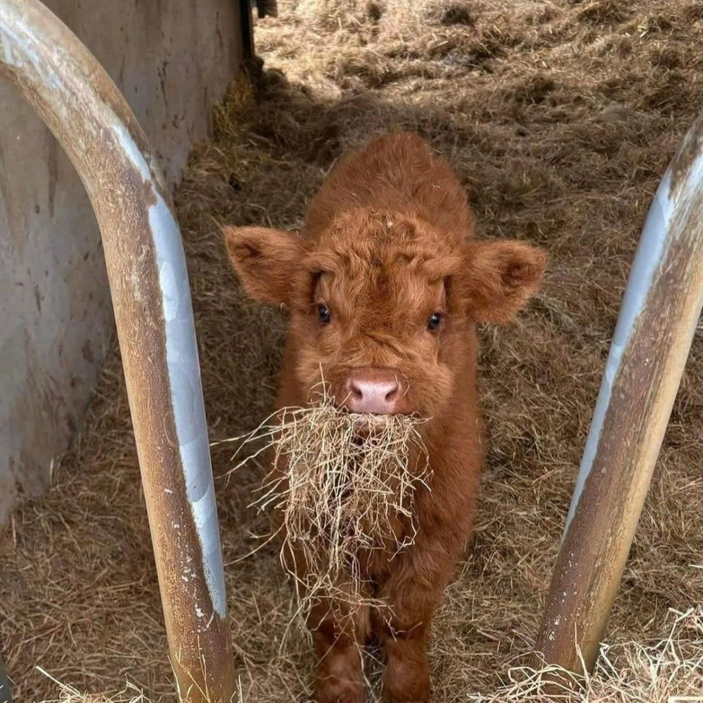 ‎#ليس قوة خارقة