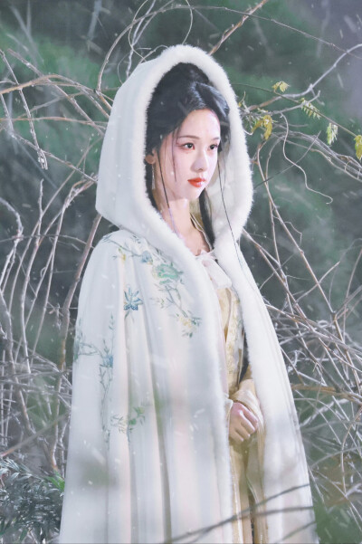 月鳞绮纪 雾妄言