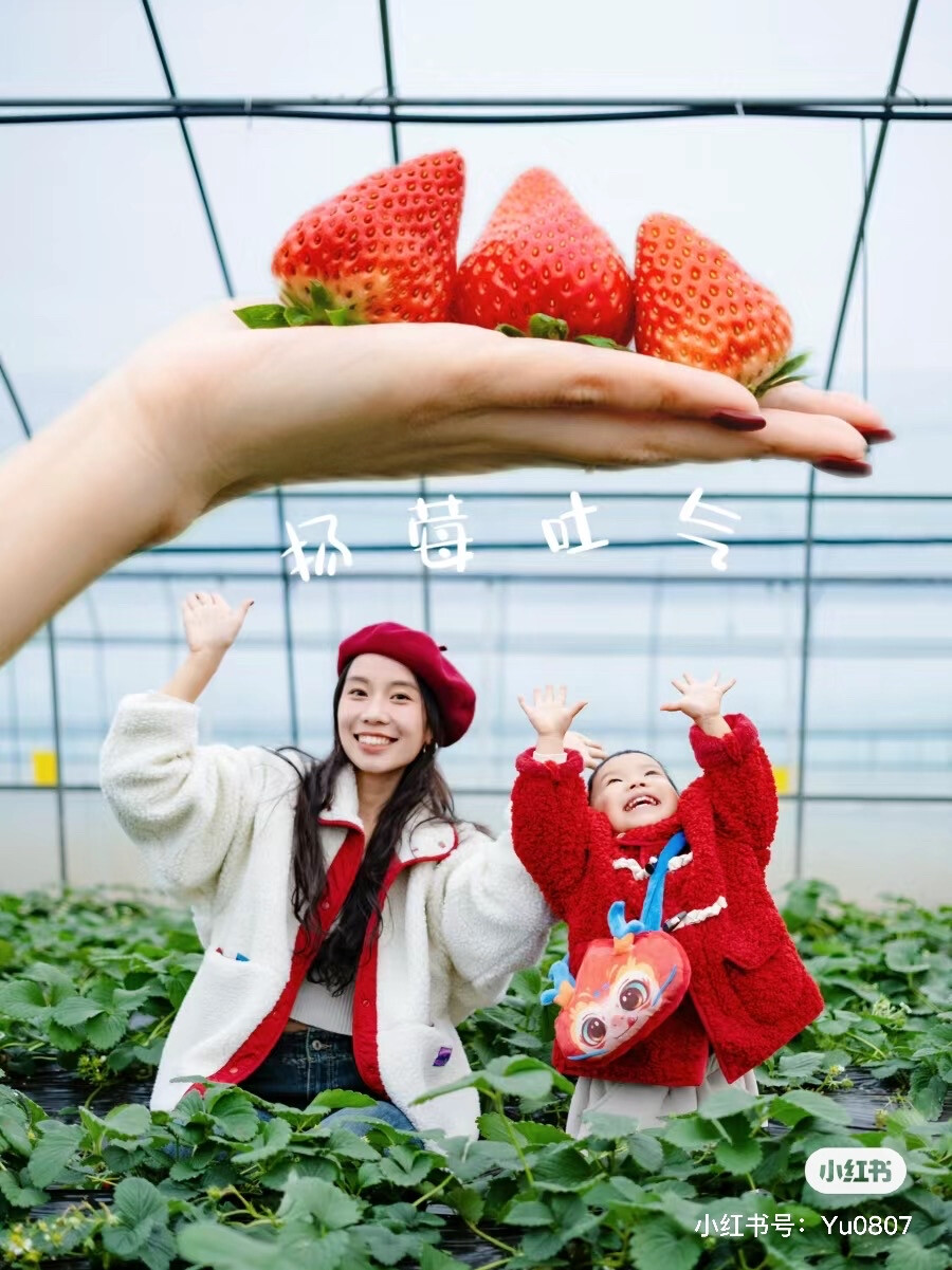 草莓创意照