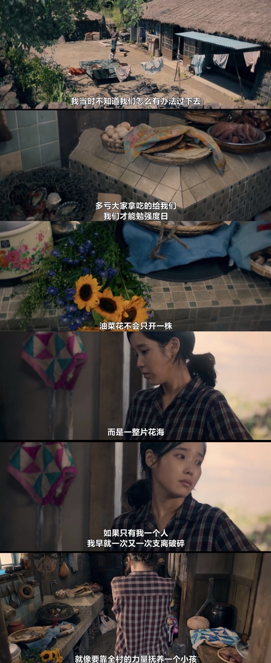 苦尽柑来遇见你