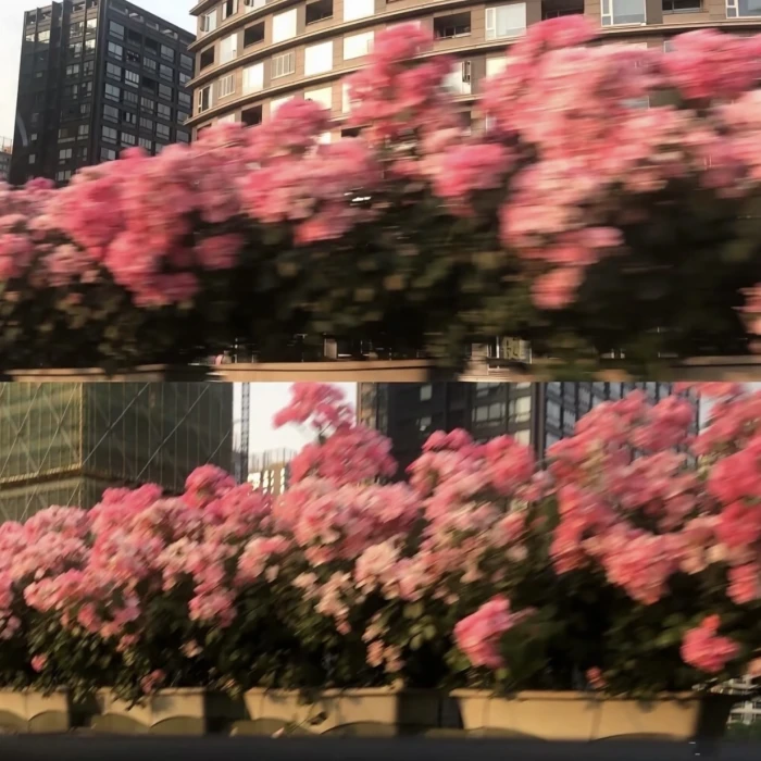 背景图文字