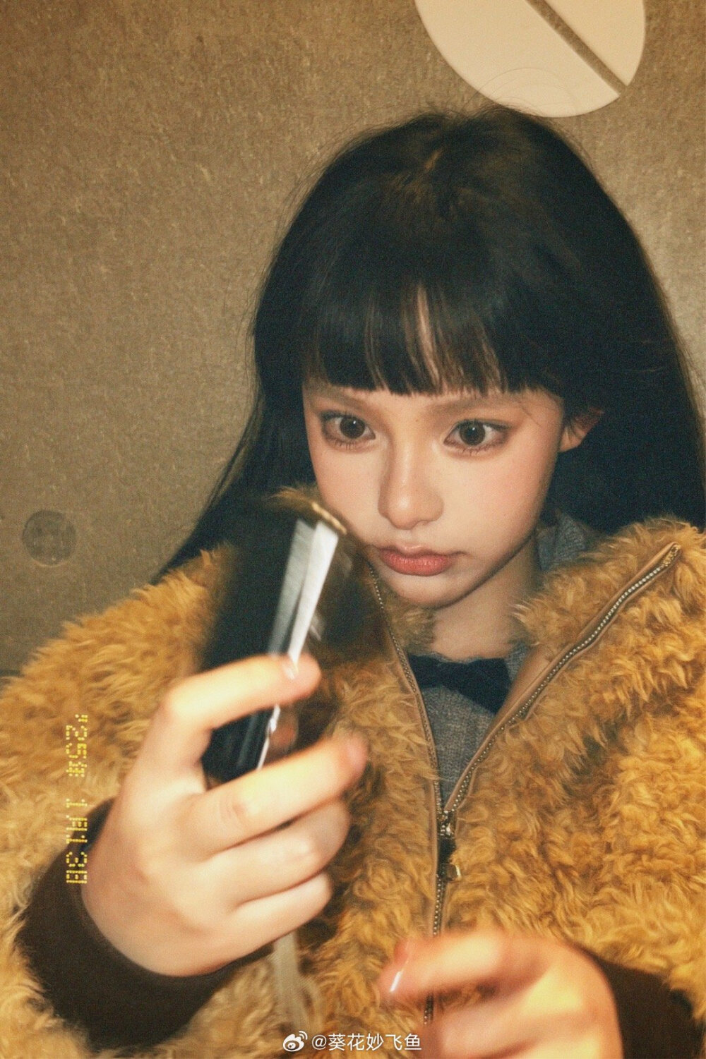 “森林的尽头是散落的光”