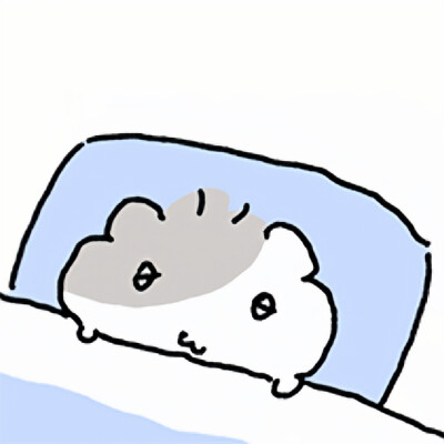 somchi棉球仓鼠