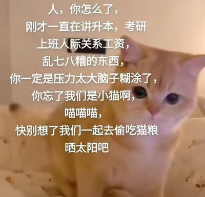 人你怎么了