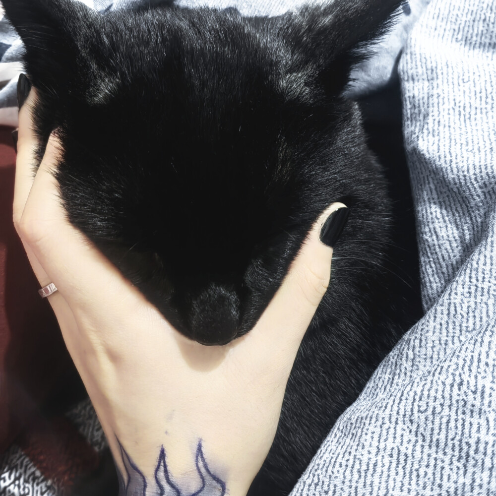 SIXXONE