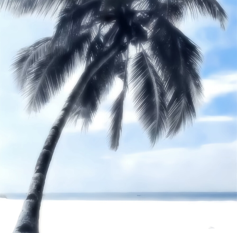 朋友圈背景