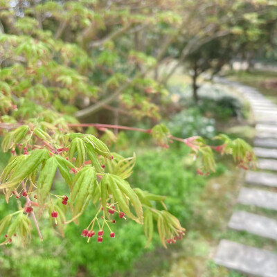 上海菩提禅寺2025/3/31