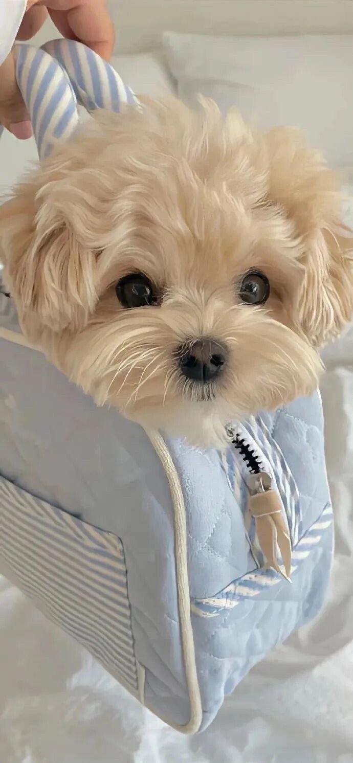 生活碎片壁纸