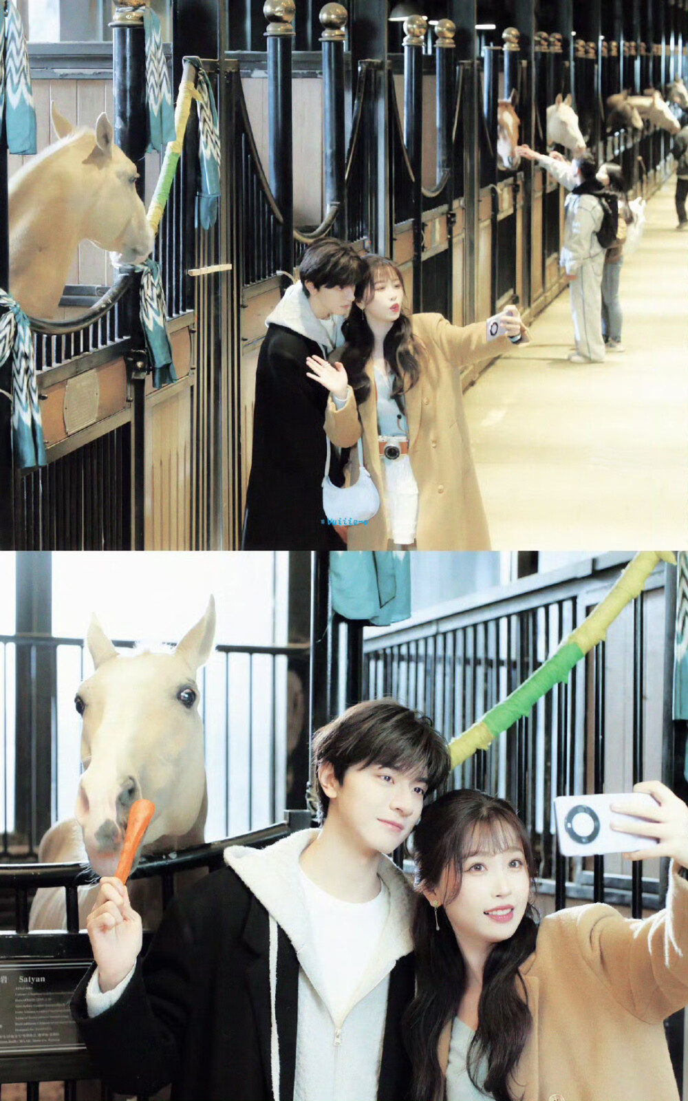 嘘国王在冬眠 ​​​