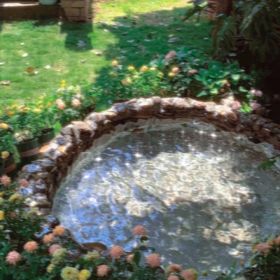 梦想是做最幸福的小猫^..^