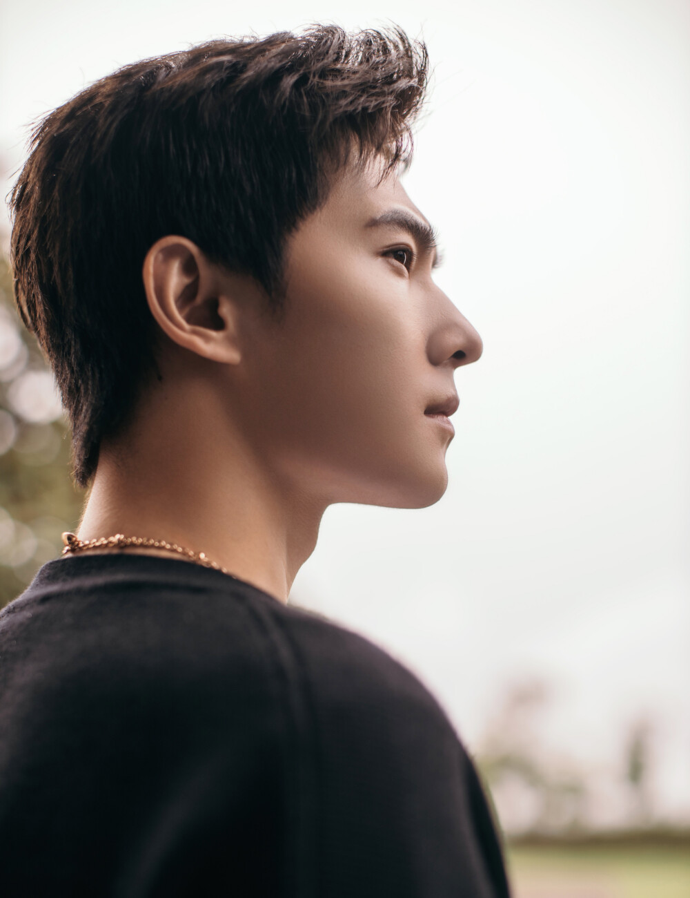 杨洋