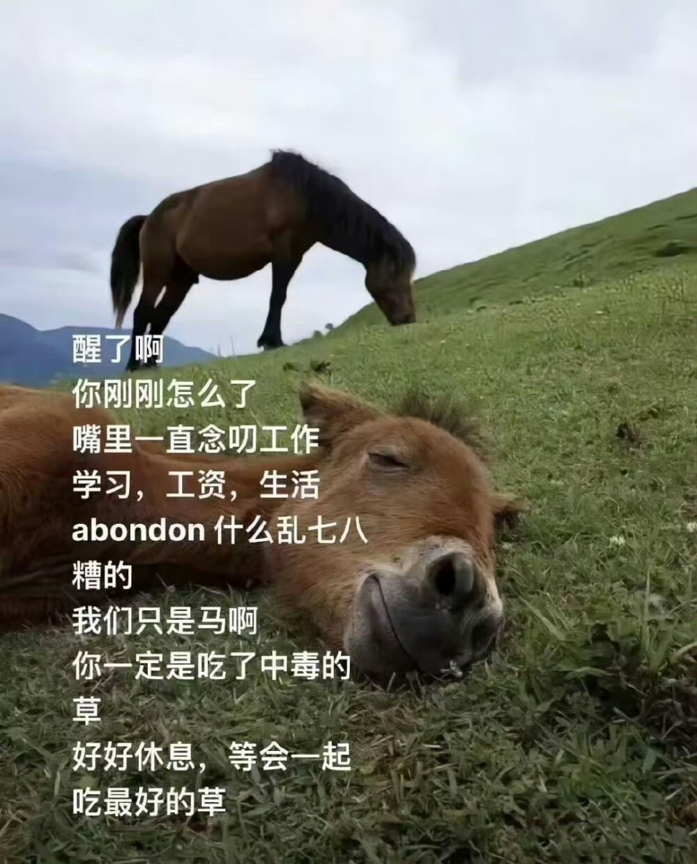 人你怎么了