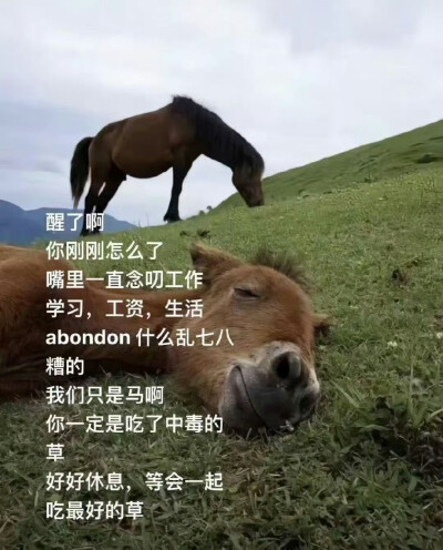 人你怎么了