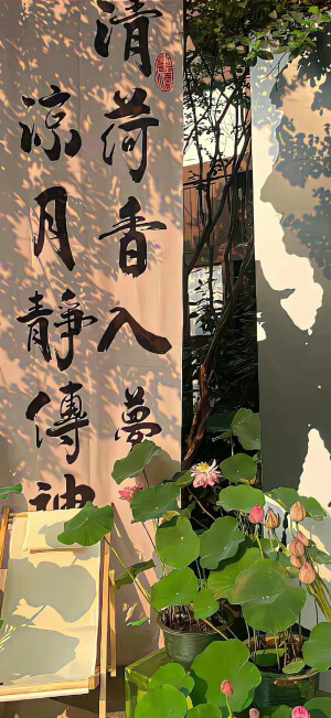 手机风景壁纸