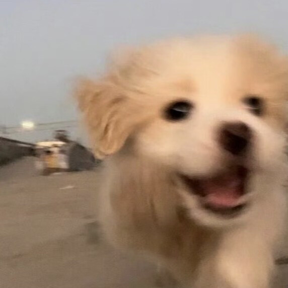 。