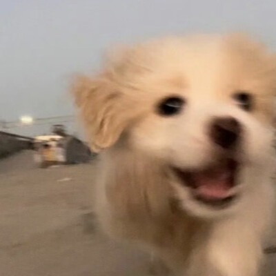 。