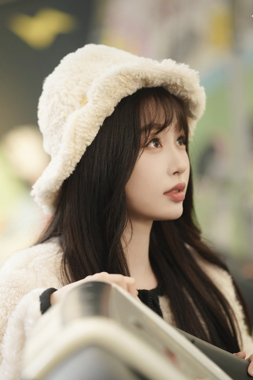 嘘，国王在冬眠 卫枝