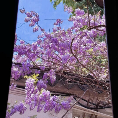 紫色系背景图