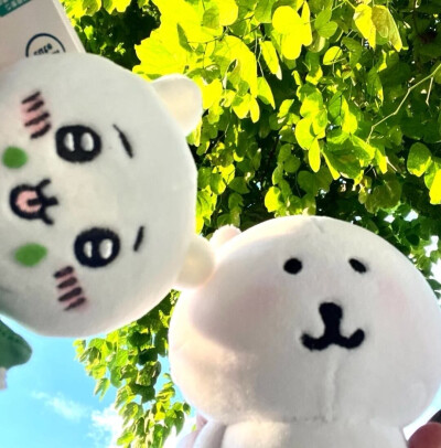 自嘲熊