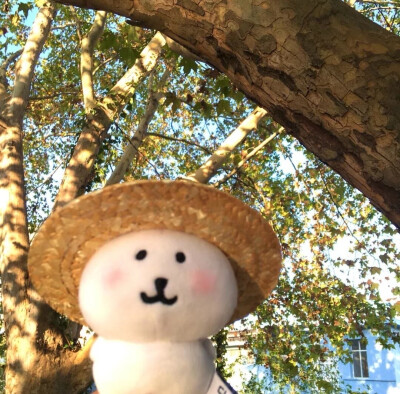 自嘲熊