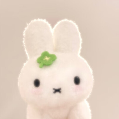 米菲ins