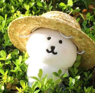 自嘲熊