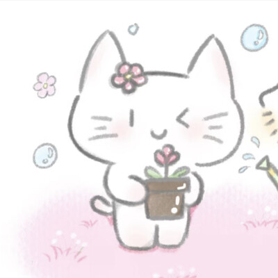 小猫情侣闺蜜头像/图源小红书@小白合