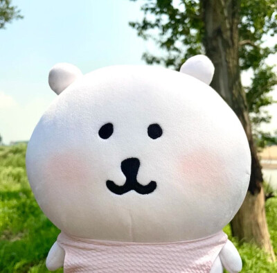 自嘲熊