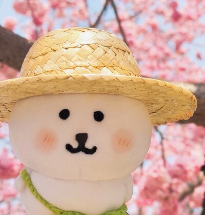 自嘲熊