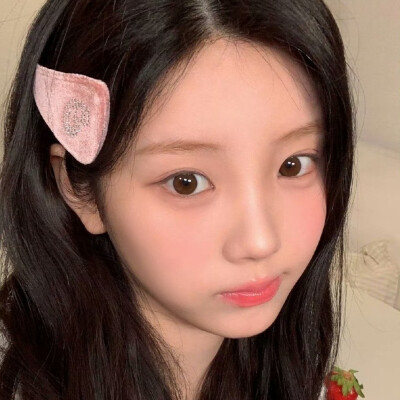 萌猪