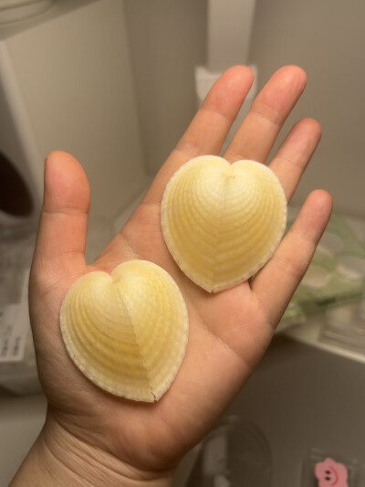 我的壳们