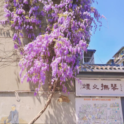 紫色系背景图