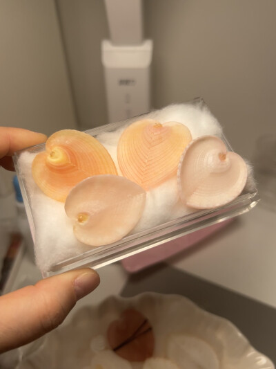 我的壳们