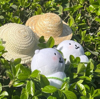 自嘲熊