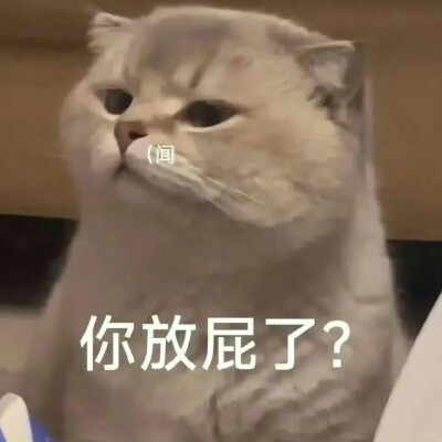 有趣表情包