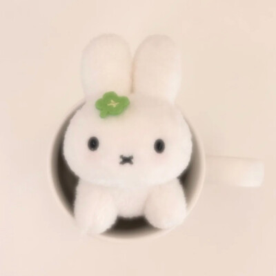 米菲ins