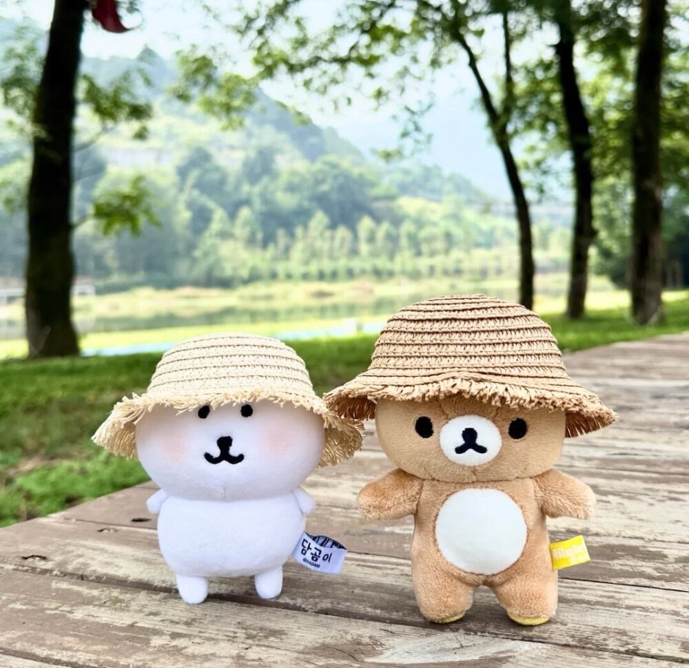 自嘲熊