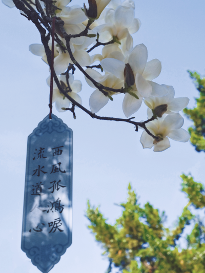 西安｜春天