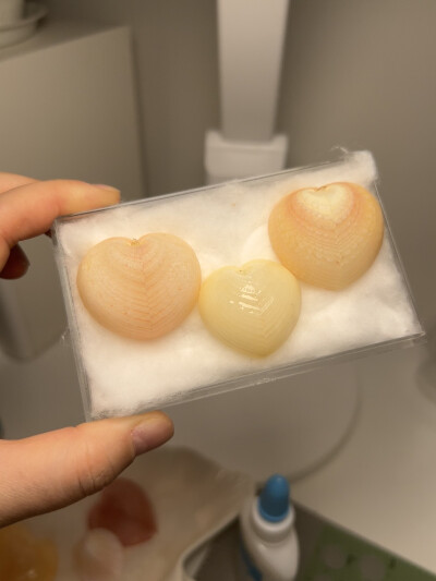 我的壳们